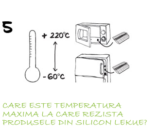 CARE ESTE TEMPERATURA MAXIMA LA CARE REZISTA SILICONUL PLATINAT?