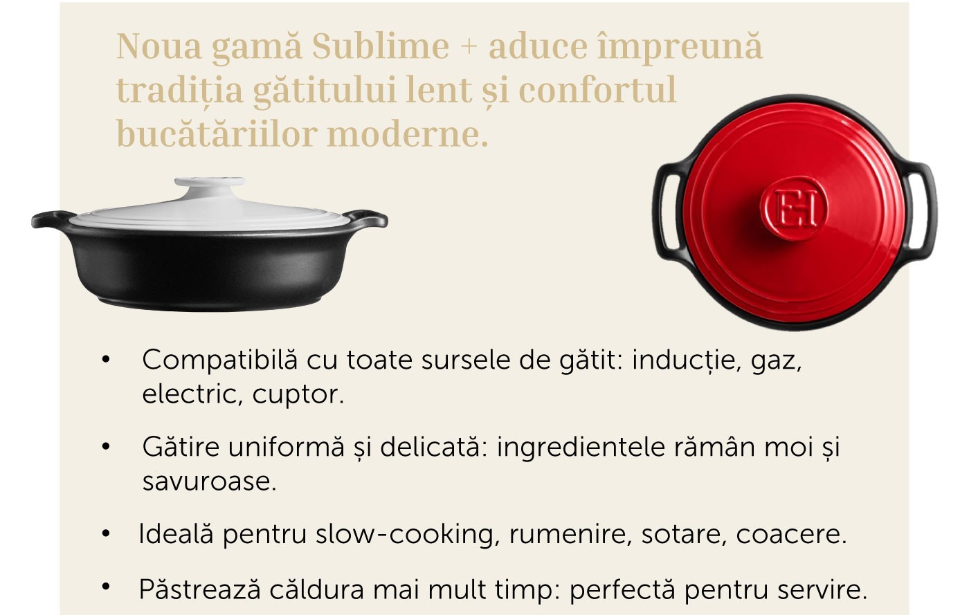 Emile Henry Sublime+