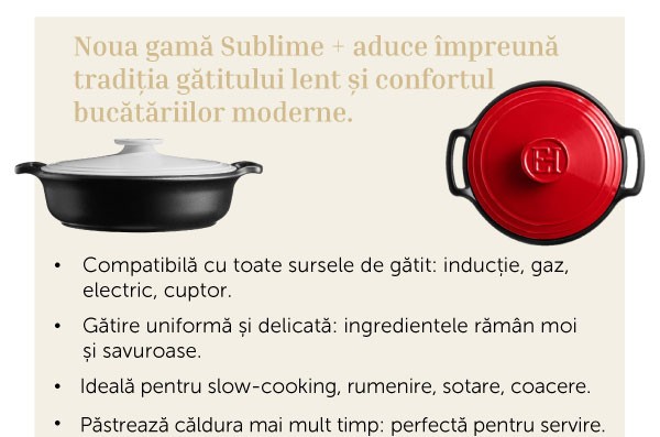 Emile Henry Sublime+