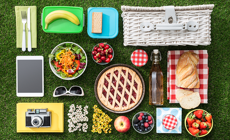 Organizare la picnic si gratar